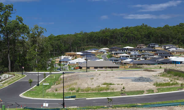 Parkland Clearing